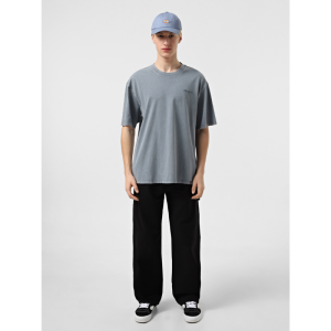 Футболка Dickies Plentywood Ss Tee DK0A866BG701 (stormy weather)