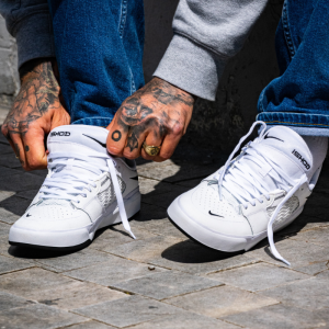 Кеды Nike Sb Ishod Prm DZ5648-101 (white-black)