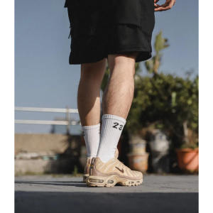 Кроссовки Nike Air Max Plus FZ5049-222 (seasame-smokey mauve-hemp)