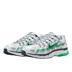 Кроссовки Nike P-6000 CD6404-104 (white-black-met silver)