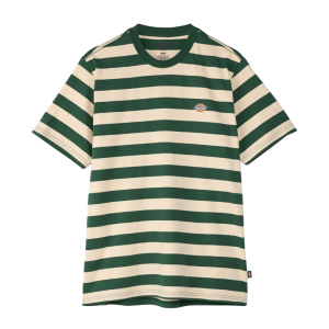 Футболка Dickies Rivergrove Ss Tee DK0A4Y8YPIN1 (pine needle green)