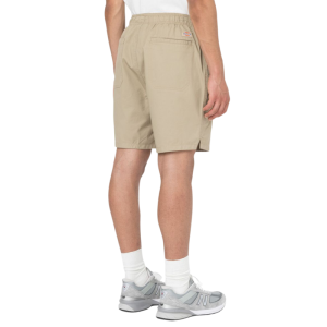 Шорты Dickies Pelican Rapids DK0A4XB2DS01 (desert sand)