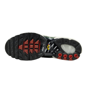 Кроссовки Nike Air Max Plus FB9722-300 (cargo khaki-black phantom)