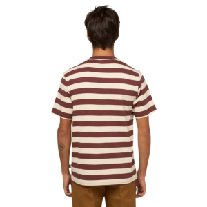 Футболка Dickies Rivergrove Ss Tee DK0A4Y8YL161 (andorra)