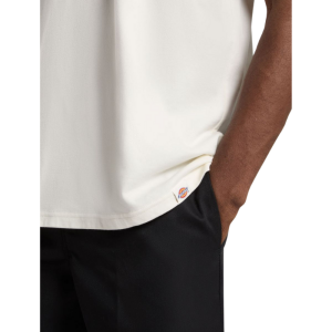 Футболка Dickies Lewistown Ss Tee DK0A4Z8ZC481 (egret)