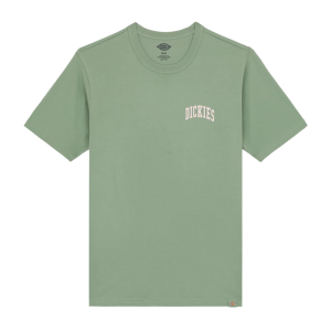 Футболка Dickies Aitkin Chest Tee Ss DK0A4Y8OL191 (sea spray)