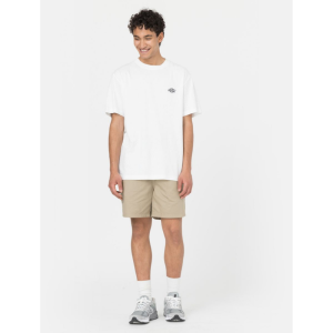 Шорты Dickies Pelican Rapids DK0A4XB2DS01 (desert sand)