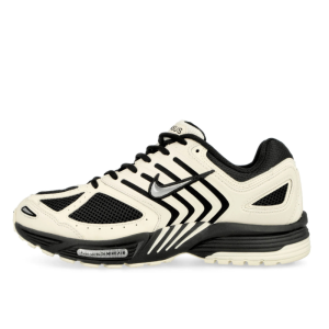 Кроссовки Nike Air Pegasus 2005 HQ5403-102 (pale ivory-black)