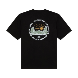 Футболка Dickies Outdoor Ss Tee DK0A4Z8PBLK1 (black)