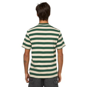 Футболка Dickies Rivergrove Ss Tee DK0A4Y8YPIN1 (pine needle green)