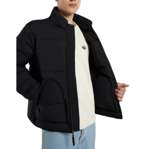 Куртка Dickies Summerdale Puffer DK0A87OGBLK1 (black)