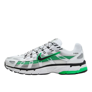 Кроссовки Nike P-6000 CD6404-104 (white-black-met silver)
