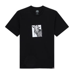 Футболка Dickies Mike Anderson Graphic Ss Tee DK0A8672BLK1 (black)