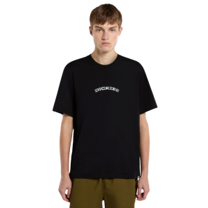 Футболка Dickies Outdoor Ss Tee DK0A4Z8PBLK1 (black)