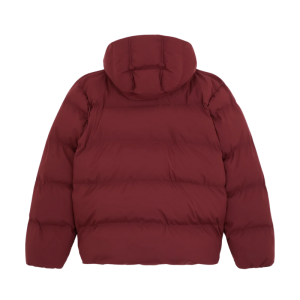 Куртка Dickies Eagleville Hooded Puffer DK0A87OHL161 (andorra)