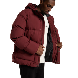 Куртка Dickies Eagleville Hooded Puffer DK0A87OHL161 (andorra)