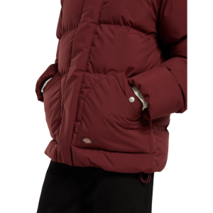 Куртка Dickies Eagleville Hooded Puffer DK0A87OHL161 (andorra)
