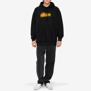 Худи Ripndip Ripndip Industries Hoodie RNDWORLD10 (vintage black)