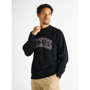Толстовка Dickies Aitkin Sweatshirt DK0A4XABJ941 (black)