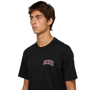 Футболка Dickies Aitkin Chest Tee Ss DK0A4Y8OL251 (black-tibetan red)
