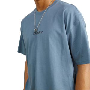 Футболка Dickies Enterprise Tee Ss DK0A4YRNG701 (stormy weather)