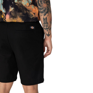 Шорты Dickies Cobden Short DK0A4XESBLK1 (black)