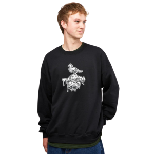 Толстовка Thrasher Cover The Earth 312734 (black)