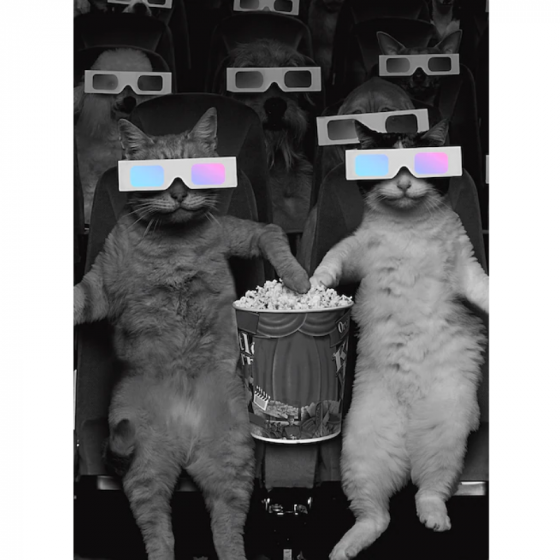 Сноуборд Женский Burton Rewind 19854104000 (no color)