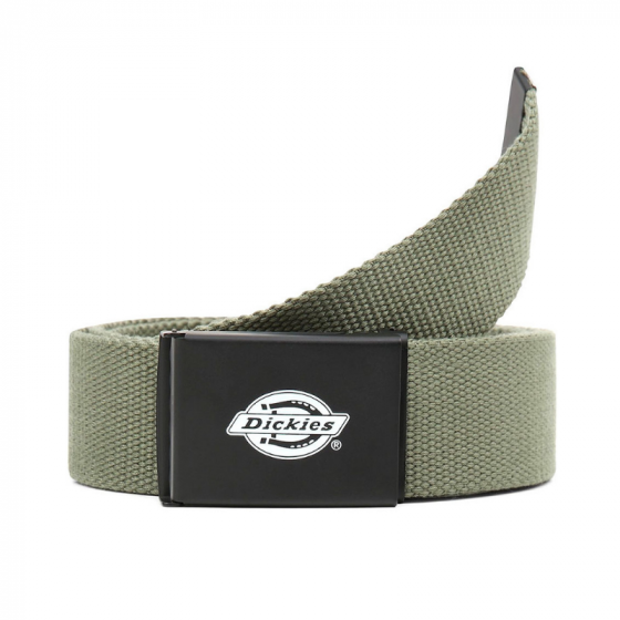 Ремень Dickies Orcutt Webbing Belt DK0A4X7EOGX1 (olive green)