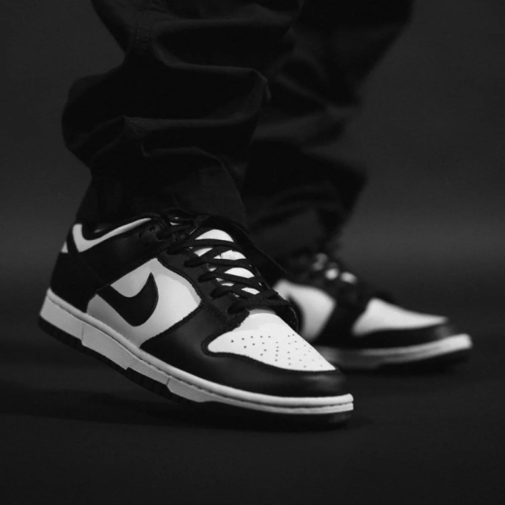 Кроссовки Nike Dunk Low Retro DD1391-100 (white-black-white)