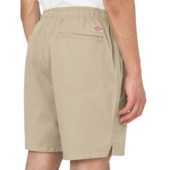 Шорты Dickies Pelican Rapids DK0A4XB2DS01 (desert sand)