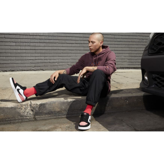 Кеды Nike SB Force 58 CZ2959-600 (pink salt-black)
