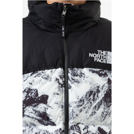 Пуховик The North Face M'S 1996 Novelty Nuptse NJ1DN76A (nutral gray)