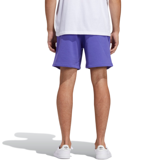 Шорты adidas Skateboarding Shmoo Terry FM1363 (purple-sky tint)