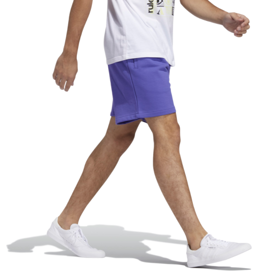 Шорты adidas Skateboarding Shmoo Terry FM1363 (purple-sky tint)