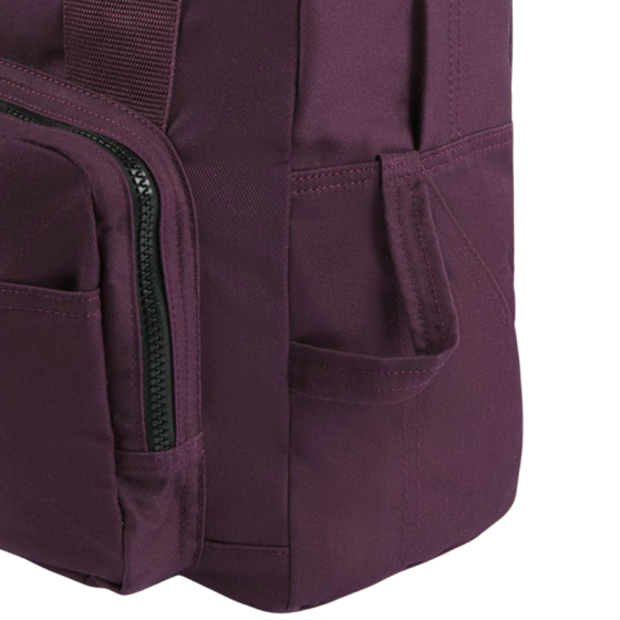 Рюкзак Dickies Lisbon Backpack DK0A4X7FJ561 (plum perfect)