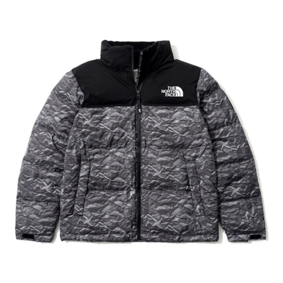 Пуховик The North Face Novelty Eco Nuptse Down Jacket NJ1DM66J (gray)