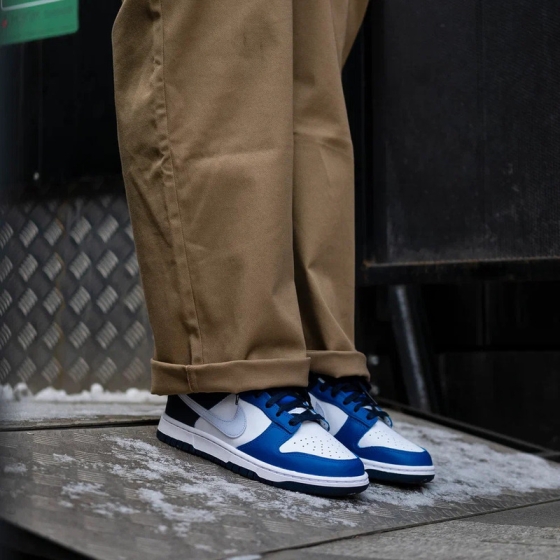 Кроссовки Nike Dunk Low FQ8826-100 (white-football grey-game royal)
