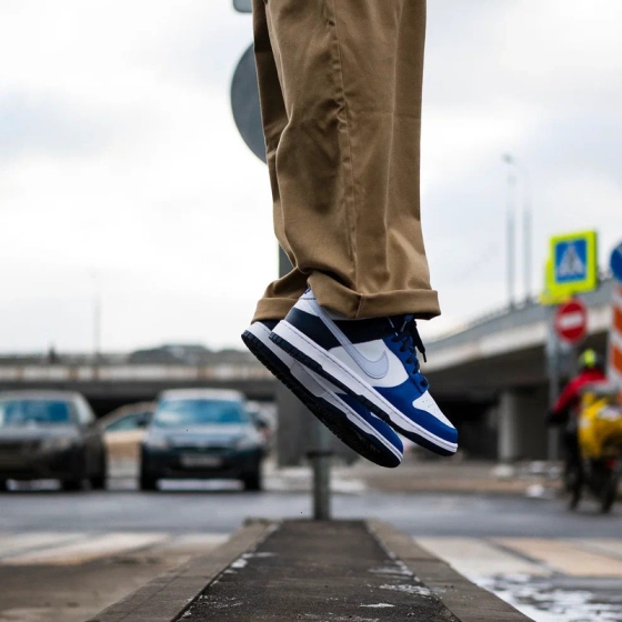Кроссовки Nike Dunk Low FQ8826-100 (white-football grey-game royal)