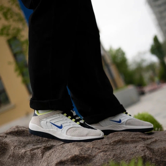 Кеды Nike SB Vertebrae FD4691-101 (summit white-persian violet)