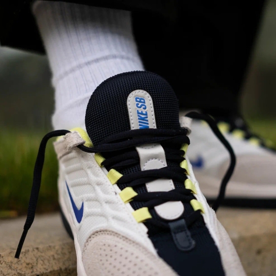 Кеды Nike SB Vertebrae FD4691-101 (summit white-persian violet)