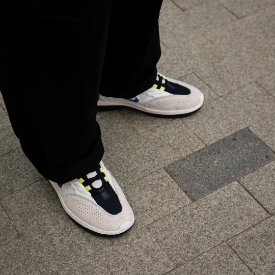 Кеды Nike SB Vertebrae FD4691-101 (summit white-persian violet)