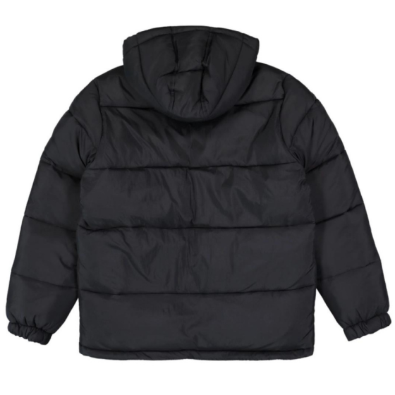 Пуховик Dickies Waldenburg Hooded Jacket DK0A4YEYBLK1 (black)