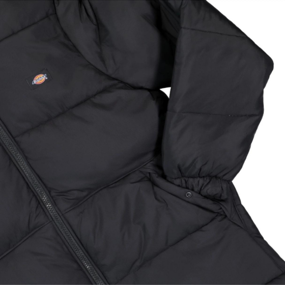 Пуховик Dickies Waldenburg Hooded Jacket DK0A4YEYBLK1 (black)