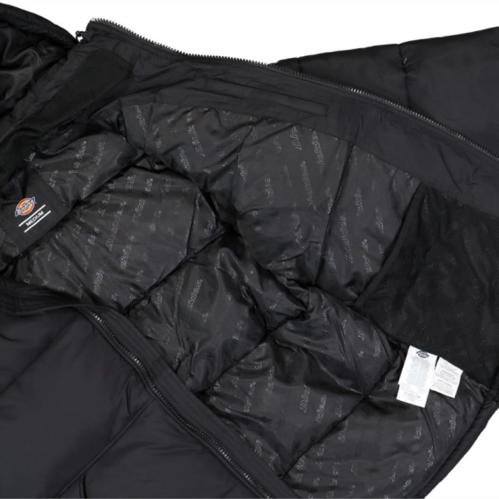 Пуховик Dickies Waldenburg Hooded Jacket DK0A4YEYBLK1 (black)