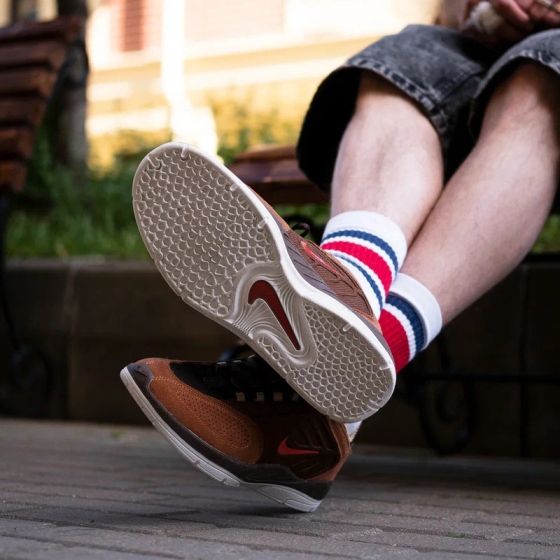 Кеды Nike SB Vertebrae FD4691-200 (cacao wow-dragon red)