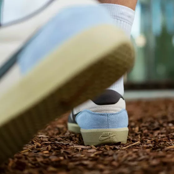Кеды Nike SB Force 58 DV5477-102 (lt orewood brn-medium ash)