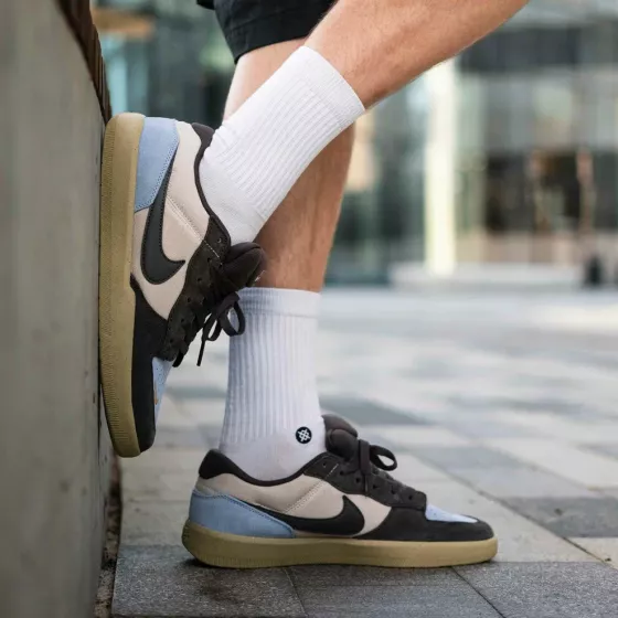 Кеды Nike SB Force 58 DV5477-102 (lt orewood brn-medium ash)