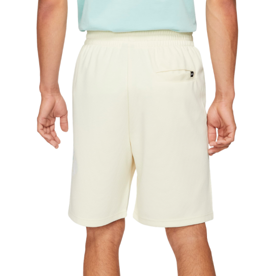 Шорты Nike SB Essential Sunday Short CV4345-113 (coconut milk-light dew)