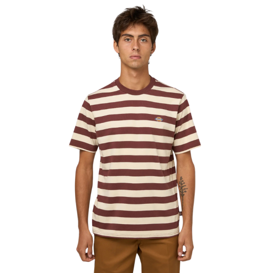 Футболка Dickies Rivergrove Ss Tee DK0A4Y8YL161 (andorra)
